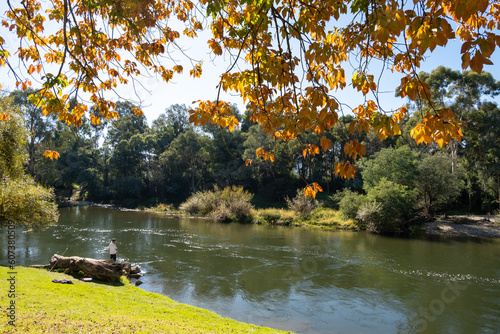 Autumn scenery at riverbank of Goulburn River with unidentified man fishing by the riverside. Thornton Victoria Australia. Beautiful environment in countryside.