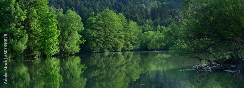 Riverbed in Germany  Neckar. Alluvial forest  reflection of trees in the water - environment nature. 