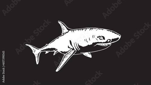 Graphical shark on black background, underwater life. Vector illustration, great white shark element