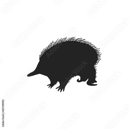 Black silhouette of echidna or Australian hedgehog, vector illustration isolated on white background.