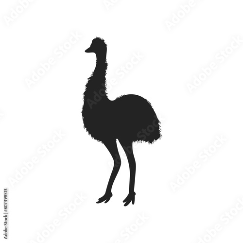 Emu Australian bird black outline silhouette vector illustration isolated.