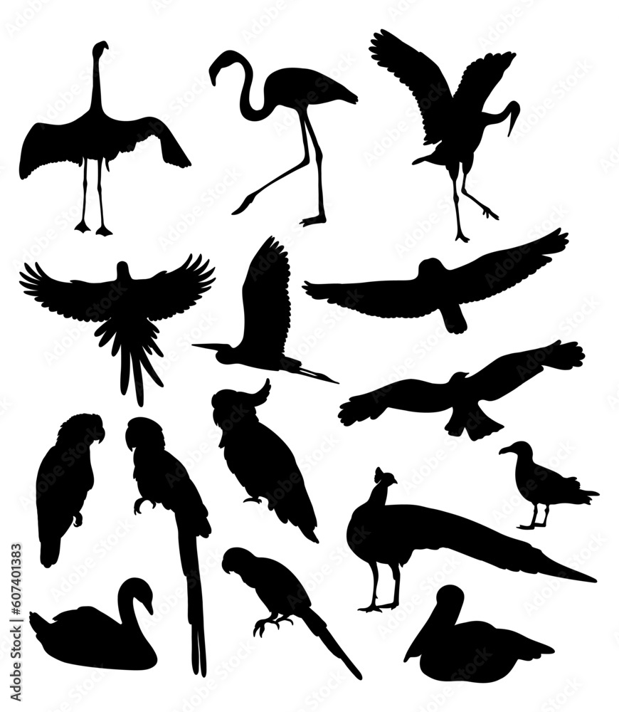 Obraz premium Collection silhouettes birds. Tropical, sea birds and fowls wildlife. Vector illustration. Isolated hand drawings on white background.