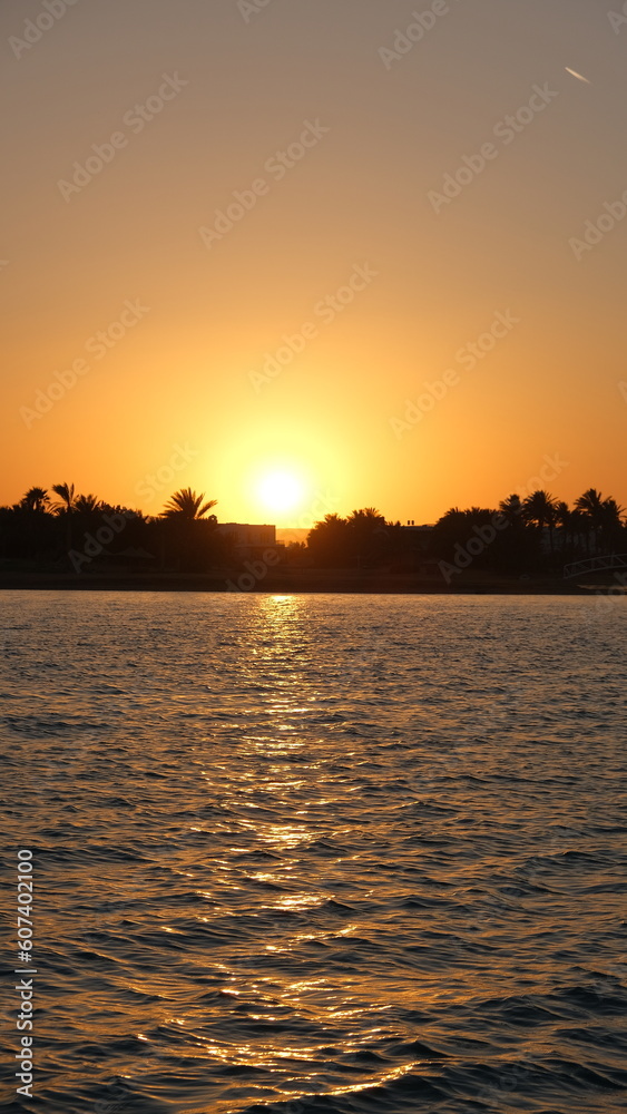 the View of the Golden Sunset Over Seaside Homes and Silhouetted Palm Trees: Serene Beachscape landscape in El Gouna, Egypt