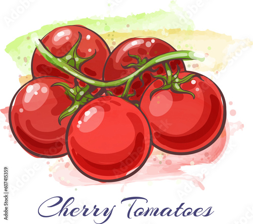 Watercolor tomatos bunch