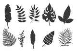 Set of silhouette Tropical leaves isolated on white background.