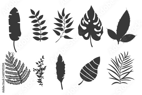 Set of silhouette Tropical leaves isolated on white background.