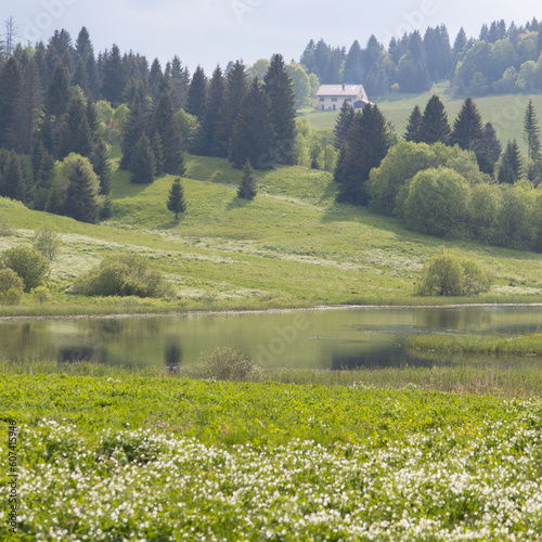 Paysage des Hautes Combes le long du lac de l'Embouteilleux , un espace montagneux situé dans le sud du massif du Jura près de La Pesse au printemps photo