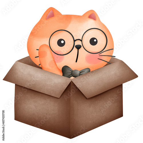 cat in a box cute cat in work theme perky cat lazy cat lying on a book sleeping cat orange cat.