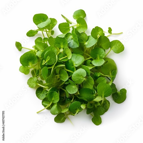 A fresh watercress isolated on white background. Fresh raw organic vegetable. Generative AI.