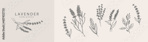 Lavender logo and branch. Hand drawn wedding herb, plant and monogram with elegant leaves for invitation save the date card design. Botanical rustic trendy greenery