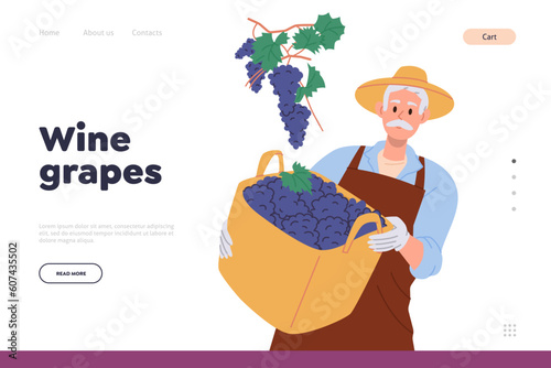 Wine grapes landing page design template with happy senior male farmer harvesting on plantation