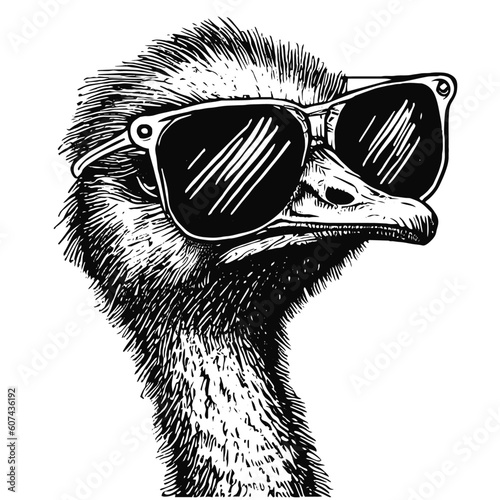 ostrich wearing sunglasses vector sketch