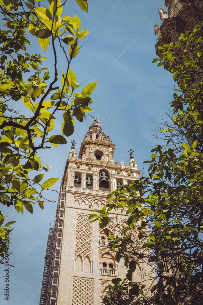 Giralda Sevilla Spain