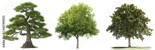 Collection of trees isolated on transparent background  Generative Ai