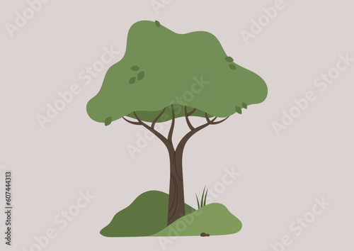 An isolated vector image of a tree with green leaves and brown trunk, summer outdoor scene