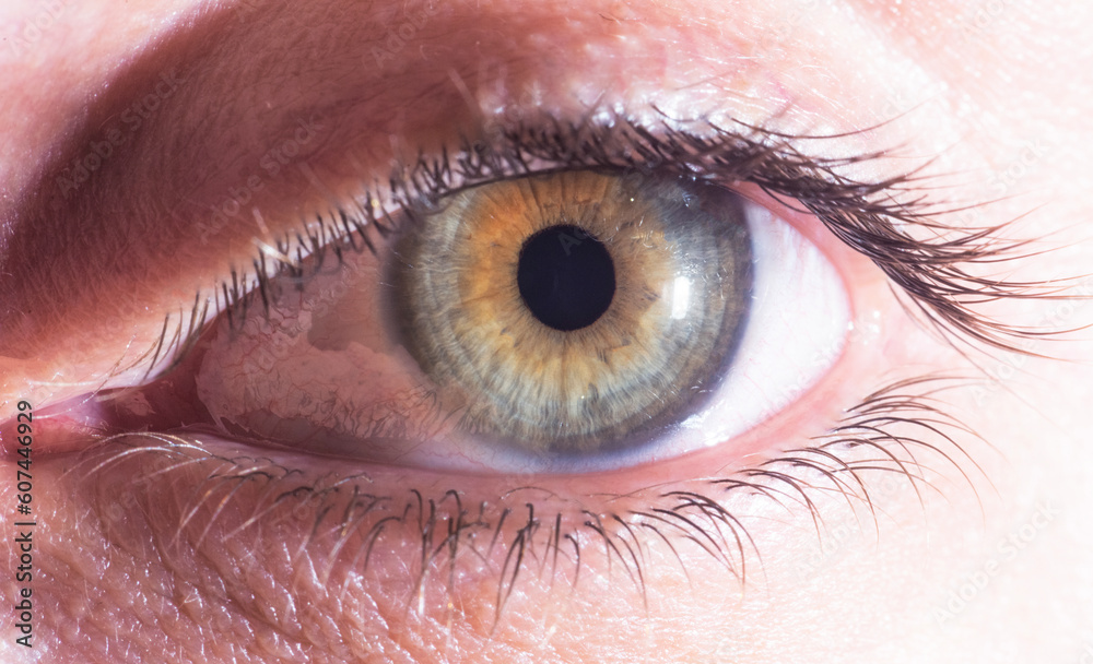 Fototapeta premium Close up of a human eye.