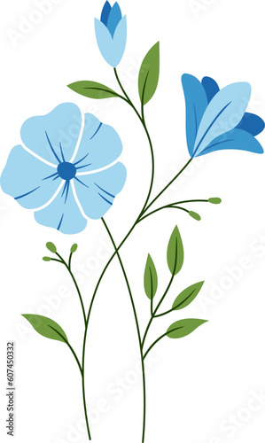 flower and leaf botanical line illustration. 