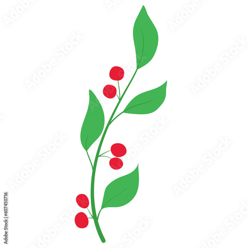 Simple flat flower stem with red round berries and green leaves