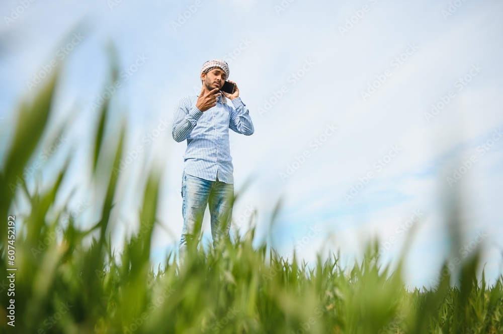 Young Indian farmer using mobile phone in Paddy field in formal dress. Young Indian farmer using mobile phone in Paddy field in formal dress.