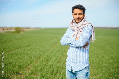 An Asian farmer stands in a rice field.