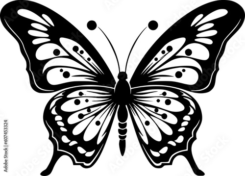 Butterflies - Black and White Isolated Icon - Vector illustration photo