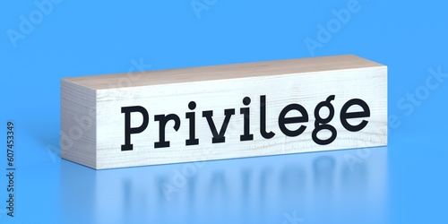 Murais de parede Privilege - word on wooden block - 3D illustration