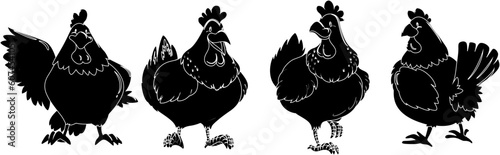 silhouettes of chicken