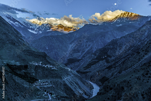 Color and Gray and White