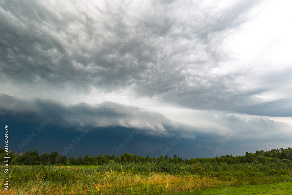 clouds over the forest