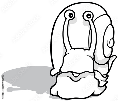 Drawing of a Funny Snail from Front View