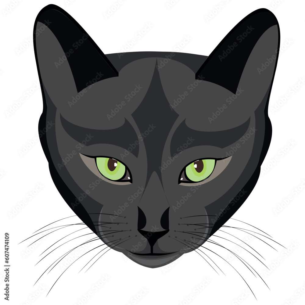 Isolated image of a muzzle of a black cat on a white background