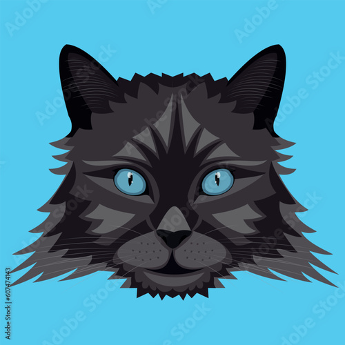 Isolated image of a muzzle of a black cat on a blue background