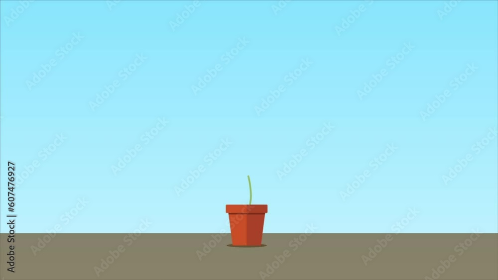 Apple Tree Plant Grow Animation Stock Video | Adobe Stock