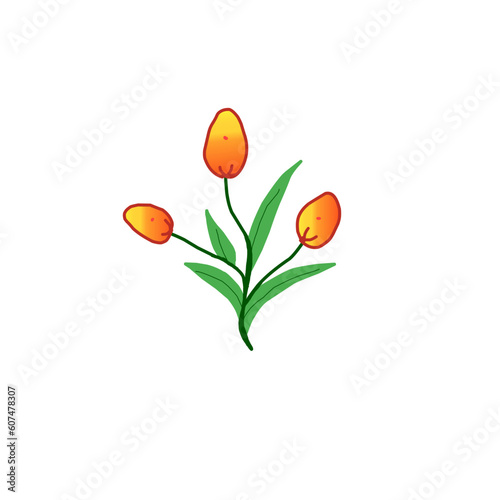 Flowers on white background 