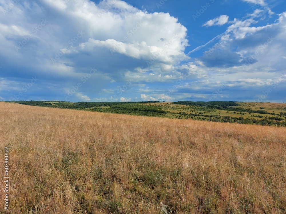 field and sky field and sky