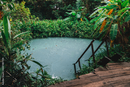 Fervedouros are hot spring waters of high density, making it easier to float in the water. A major Jalapao attraction