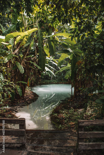 Fervedouros are hot spring waters of high density, making it easier to float in the water. A major Jalapao attraction