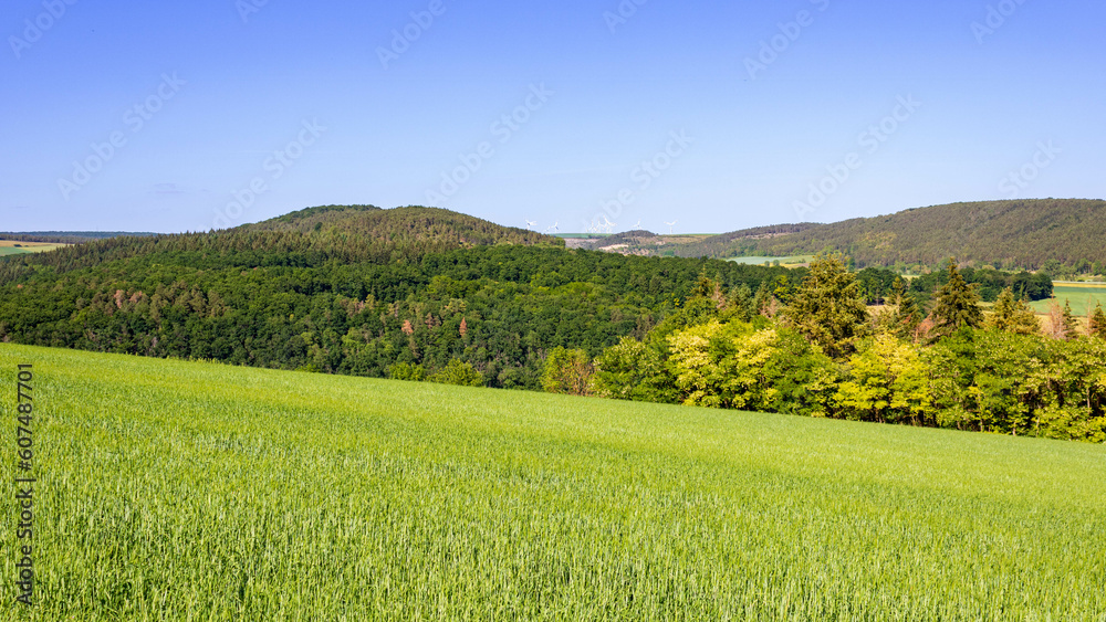 Serene View of Lush Green Meadow with Green Trees and Blue Sky on the Horizon in Werbach, Taubertal, Germany