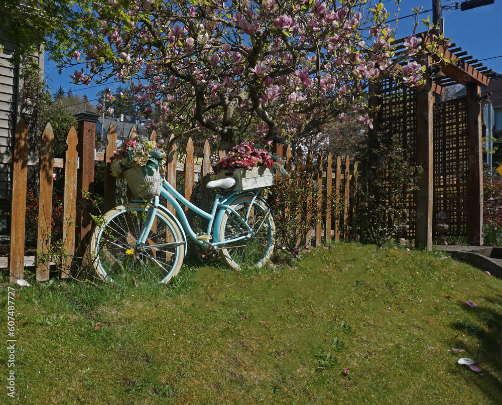 Fototapeta premium An old bicycle turned into a flower planter