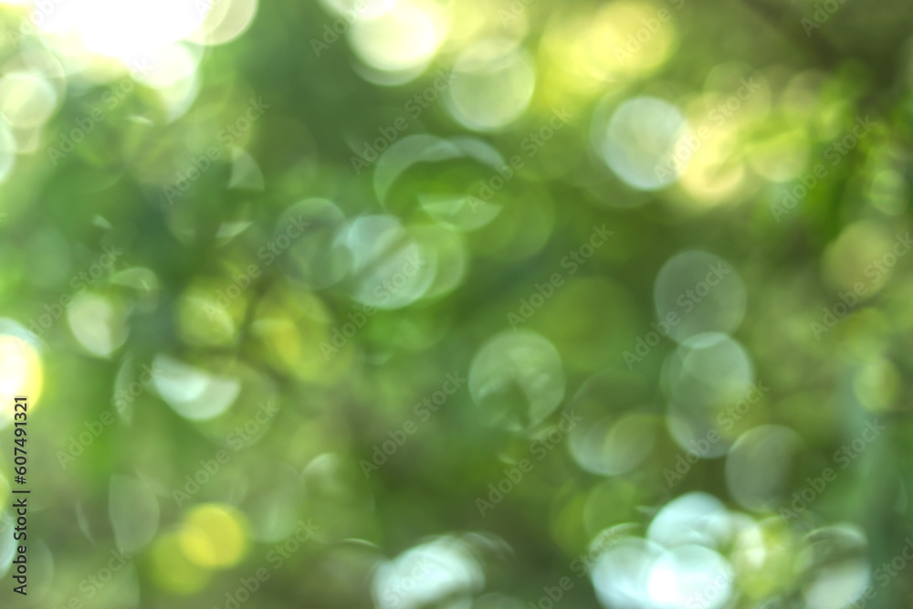 abstract green nature bokeh background with sunlight 