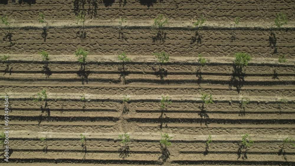 Aerial view of agricultural fields close to buildings, Anna, Valencia, Spain.