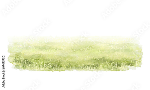 Canvastavla Green grass in lawn meadow isolated on white background