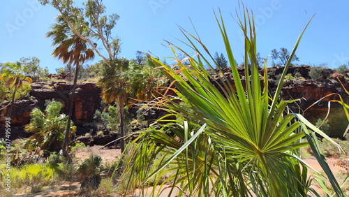 Absolute outback of the Northern Territory  Australia