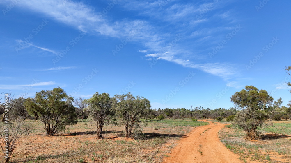 Along the Oodnadatta track in South Australia