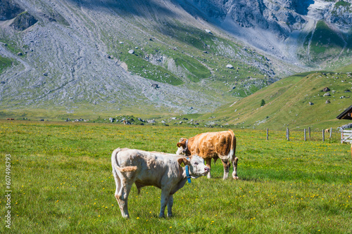 Bern, Switzerland - July 25, 2022 - View of Engstligenalp from the Engstligengrat hiking trail, Swiss Alps, Switzerland