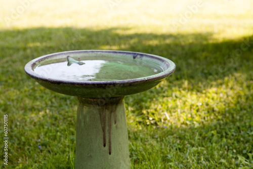 Bird drinker with water, eco - trend.