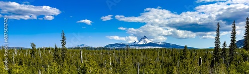 A panorama image of Mt Washington in Central Oregon near town of sisters