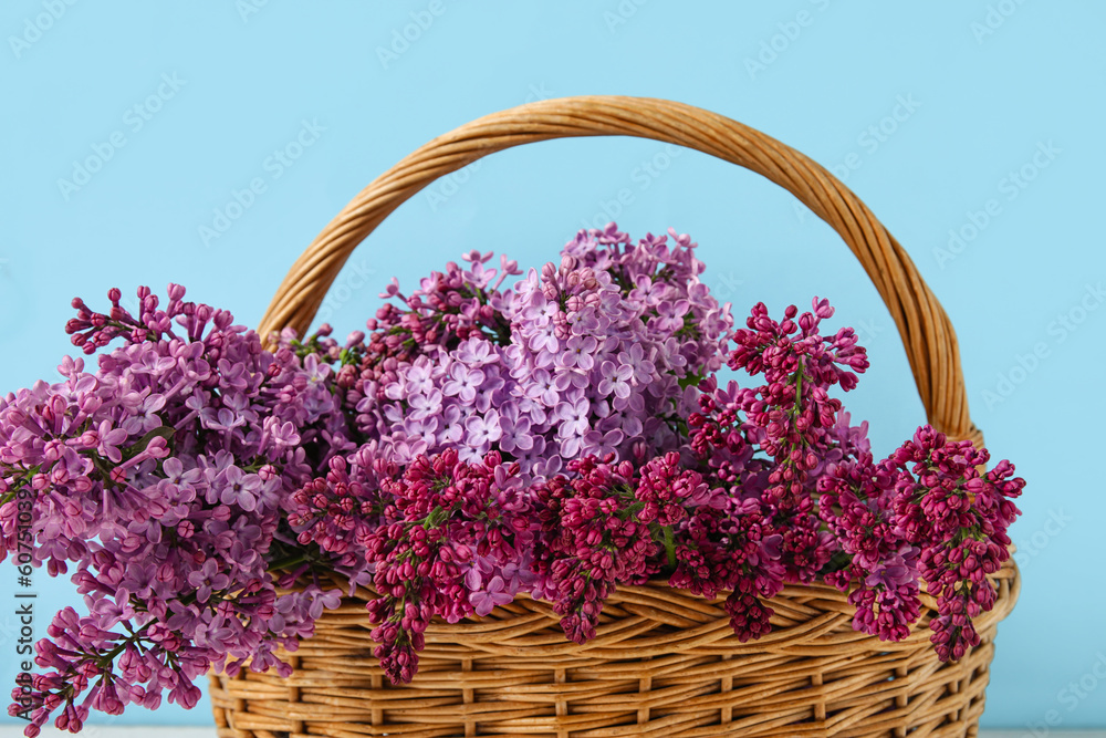 Basket with aromatic lilac flowers on color background, closeup Basket with aromatic lilac flowers on color background, closeup