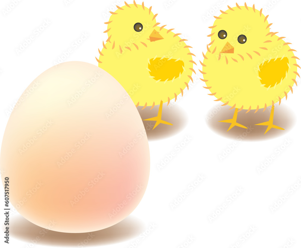 vector illustration for two chicks are curious of the big egg which is in front of them