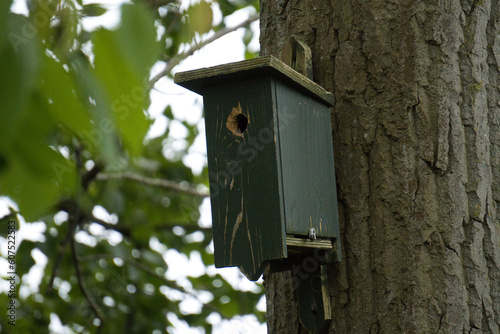Birdhouse on a tree in the forest among the leaves